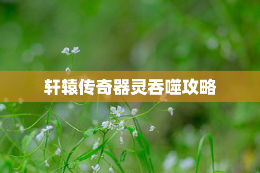 轩辕传奇器灵吞噬攻略图片