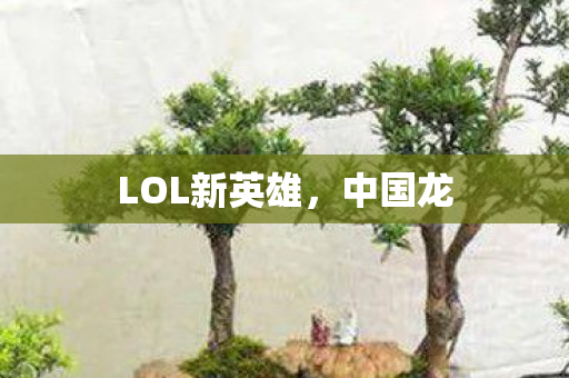 LOL新英雄图片