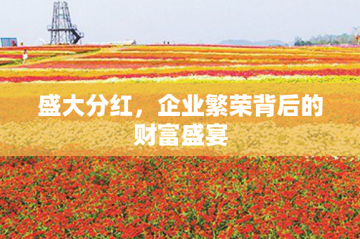 企业繁荣背后的财富盛宴图片