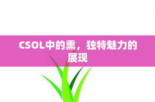CSOL中的熏图片