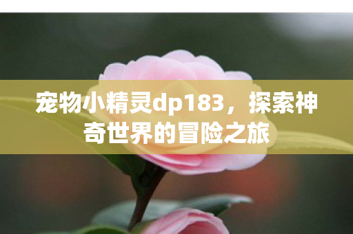 探索神奇世界的冒险之旅图片