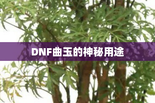 DNF曲玉的神秘用途图片