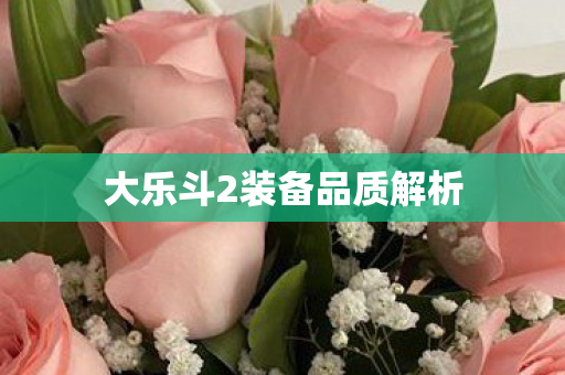 大乐斗2装备品质解析图片