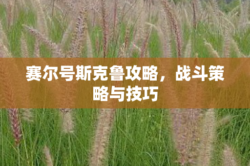 赛尔号斯克鲁攻略图片