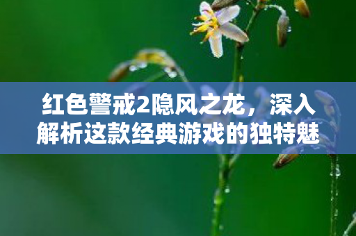 深入解析这款经典游戏的独特魅力图片