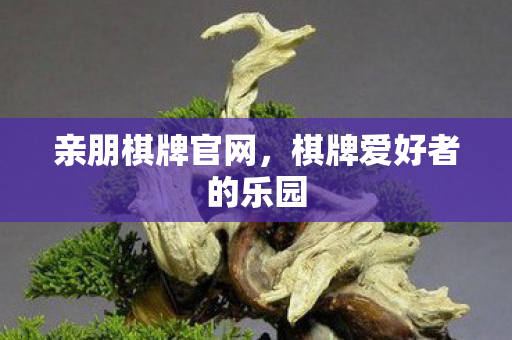 棋牌爱好者的乐园图片