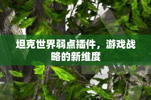 坦克世界弱点插件图片