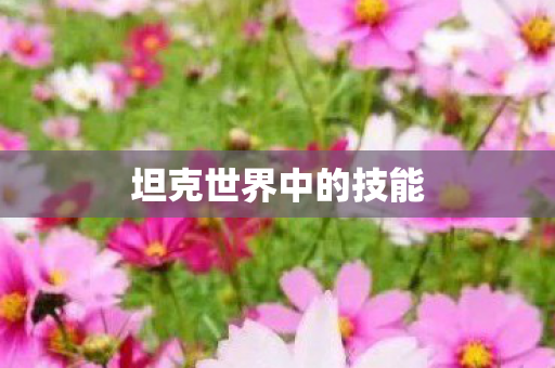 坦克世界中的技能图片