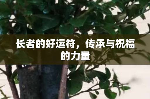 传承与祝福的力量图片