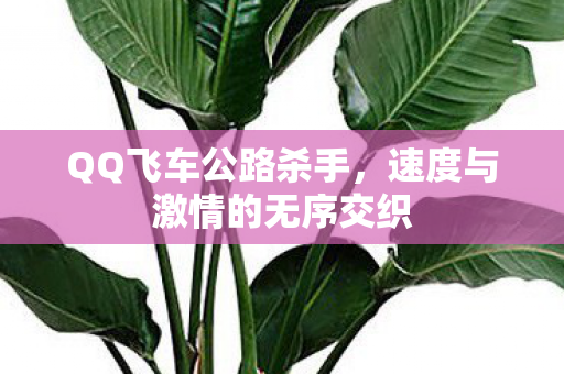 速度与激情的无序交织图片
