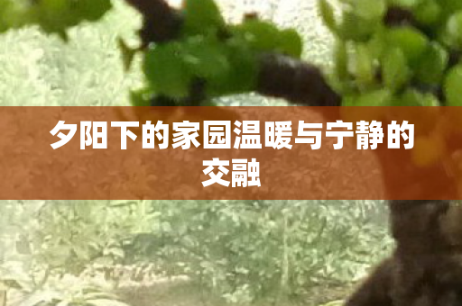 夕阳下的家园温暖与宁静的交融图片