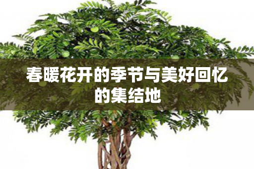春暖花开的季节与美好回忆的集结地图片