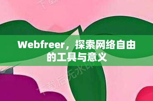 探索网络自由的工具与意义图片