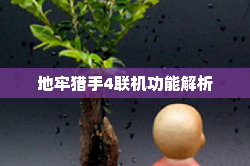 地牢猎手4联机功能解析图片