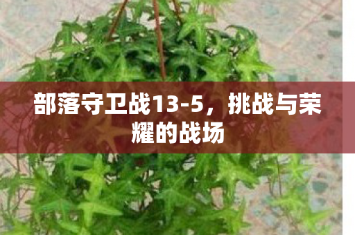 挑战与荣耀的战场图片