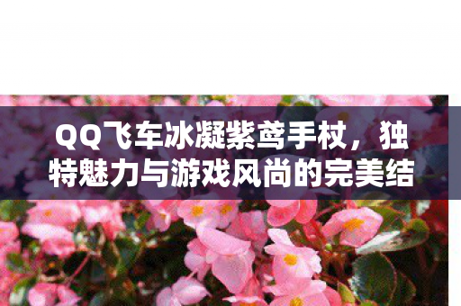 独特魅力与游戏风尚的完美结合图片