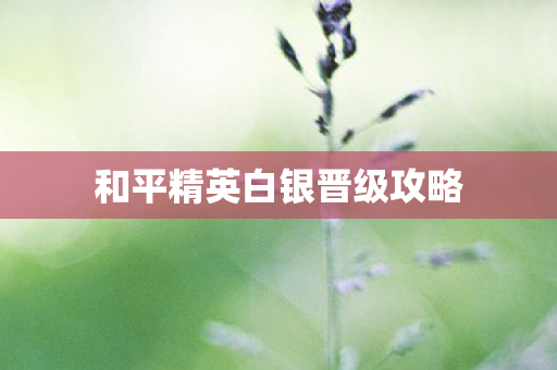 和平精英白银晋级攻略图片
