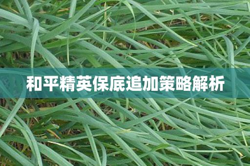 和平精英保底追加策略解析图片