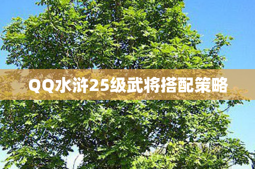 QQ水浒25级武将搭配策略图片