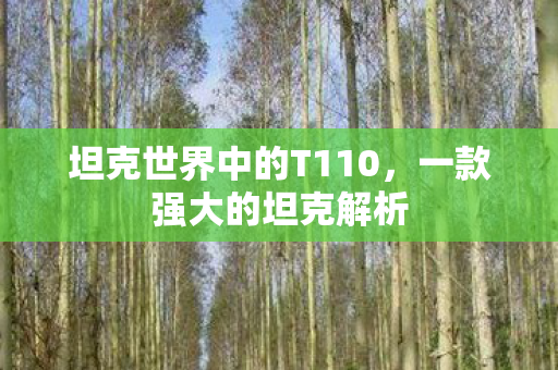 坦克世界中的T110图片