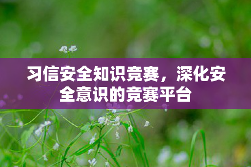 深化安全意识的竞赛平台图片