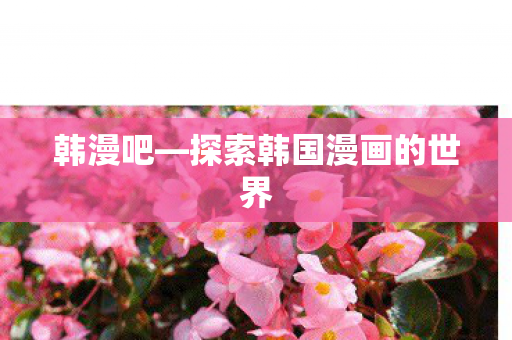 探索韩国漫画的世界图片