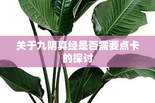 关于九阴真经是否需要点卡的探讨图片