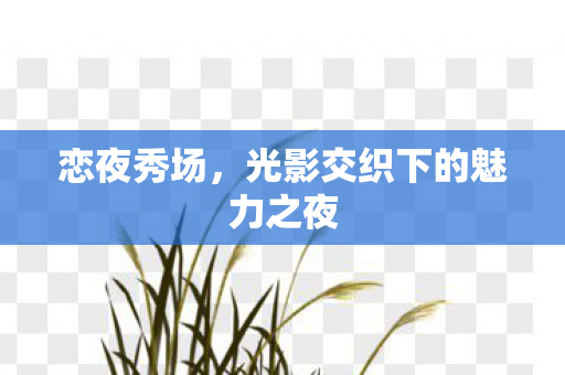 光影交织下的魅力之夜图片