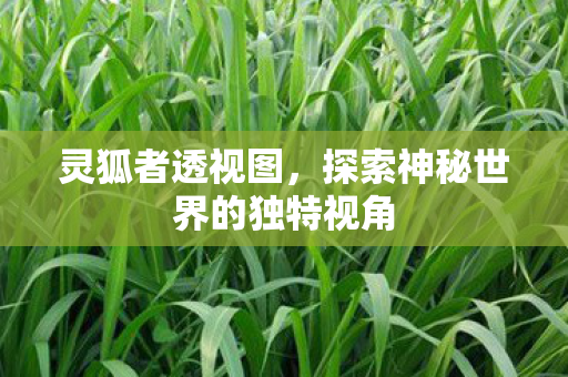 探索神秘世界的独特视角图片