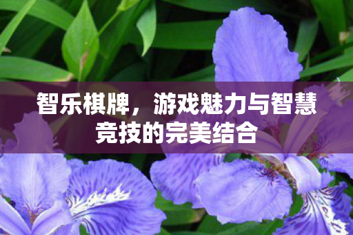 游戏魅力与智慧竞技的完美结合图片