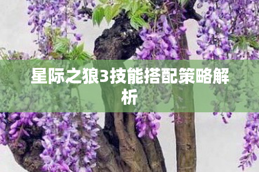 星际之狼3技能搭配策略解析图片