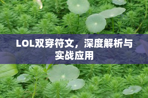 深度解析与实战应用图片