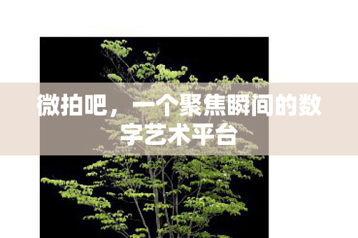 一个聚焦瞬间的数字艺术平台图片