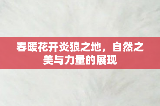 自然之美与力量的展现图片