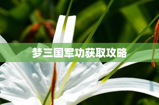 梦三国军功获取攻略图片