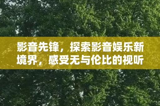 感受无与伦比的视听盛宴图片