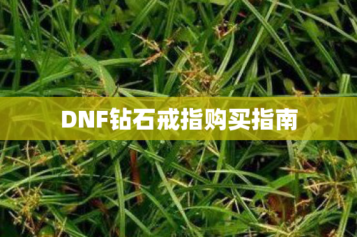 DNF钻石戒指购买指南图片