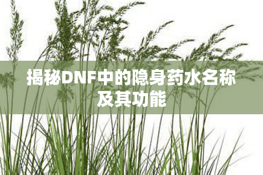 揭秘DNF中的隐身药水名称及其功能图片