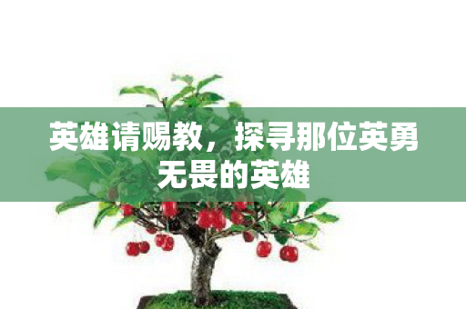 探寻那位英勇无畏的英雄图片