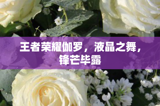 王者荣耀伽罗图片