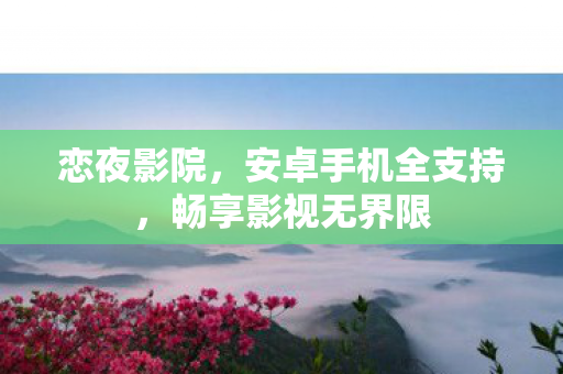 安卓手机全支持图片