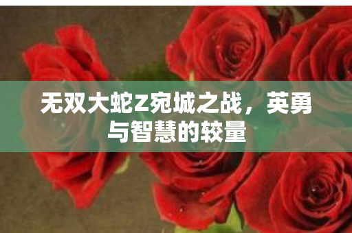 无双大蛇Z宛城之战图片