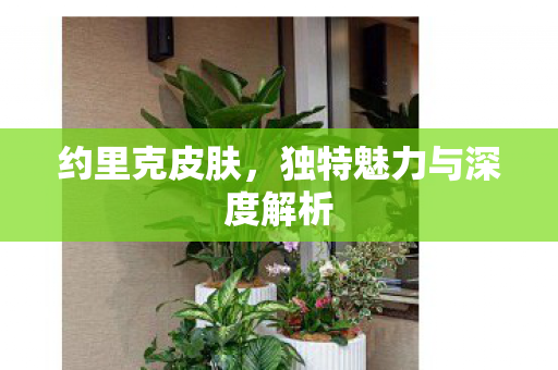 独特魅力与深度解析图片