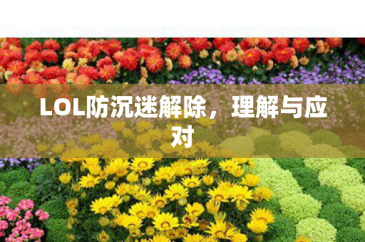 LOL防沉迷解除图片