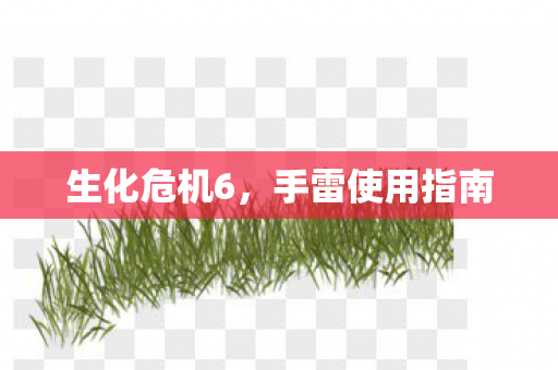 手雷使用指南图片
