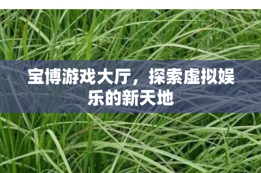 探索虚拟娱乐的新天地图片