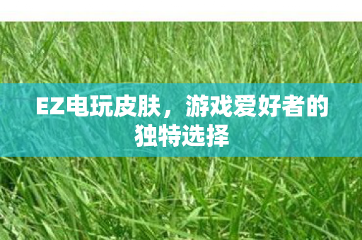 游戏爱好者的独特选择图片