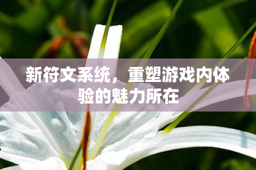 重塑游戏内体验的魅力所在图片