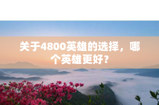 关于4800英雄的选择图片