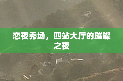 四站大厅的璀璨之夜图片